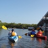 Kayak Adventure Preview Image