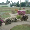 Number 7 Tee garden